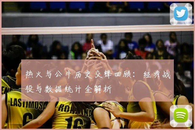 热火与公牛历史交锋回顾：经典战役与数据统计全解析