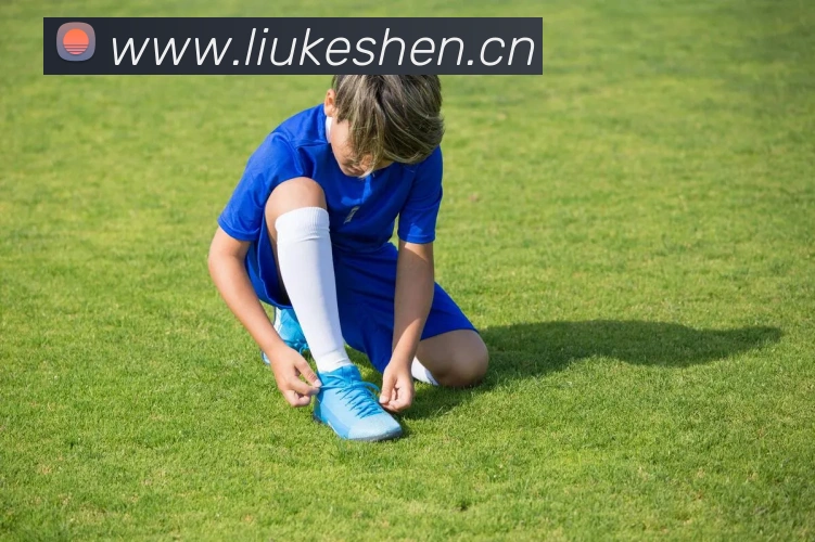 开云在线登录入口官网服务体系